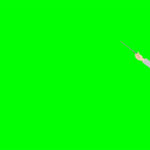 動画素材