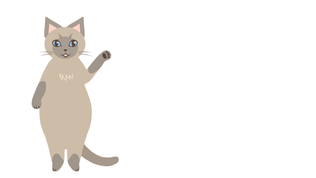 猫動画素材