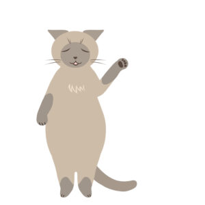 猫動画素材
