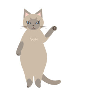 猫動画素材